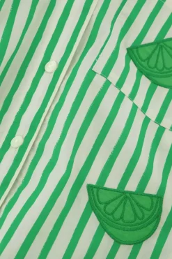 Fabienne Chapot Alex Striped Shirt Warm White/Green